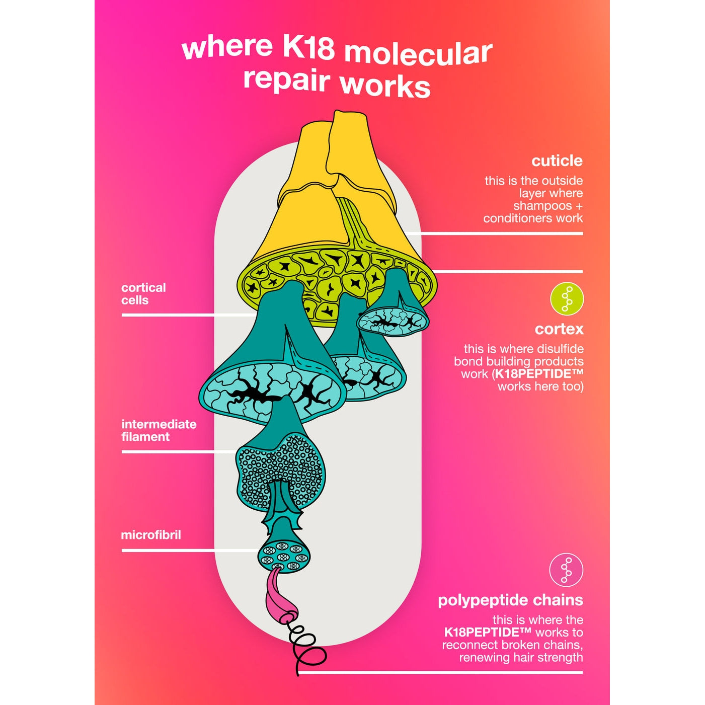 K18 full-size leave-in molecular repair hair mask - Medaid International
