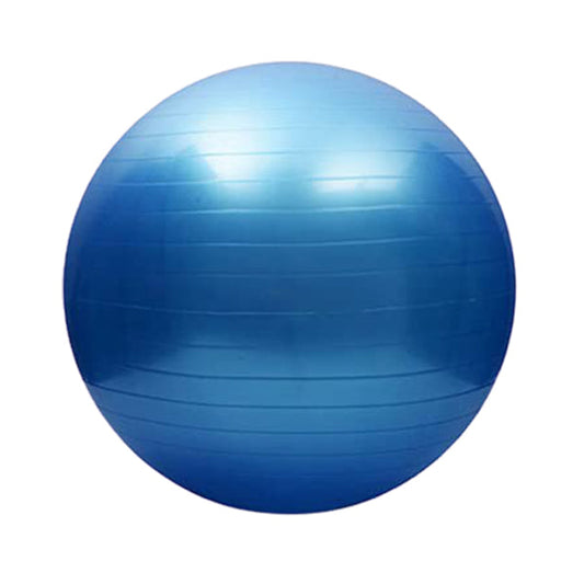 Gym Fitness Ball - Medaid