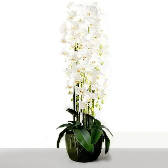 115 CM, Artificial Phalaenopsis Orchid Plant With Natural Base for Home Décor, Wedding Event, Party, Restaurant, Indoor, Outdoor - Medaid International