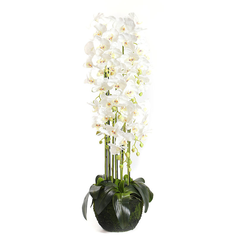 115 CM, Artificial Phalaenopsis Orchid Plant With Natural Base for Home Décor, Wedding Event, Party, Restaurant, Indoor, Outdoor - Medaid International