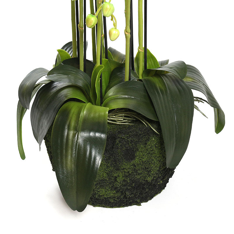 115 CM, Artificial Phalaenopsis Orchid Plant With Natural Base for Home Décor, Wedding Event, Party, Restaurant, Indoor, Outdoor - Medaid International
