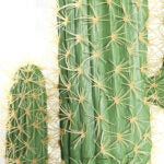 140 CM, Artificial Cactus Plant, Faux Fake Cactus Artificial Potted Plant Pot for Home, Office, Indoor and Outdoor Decoration - Medaid International