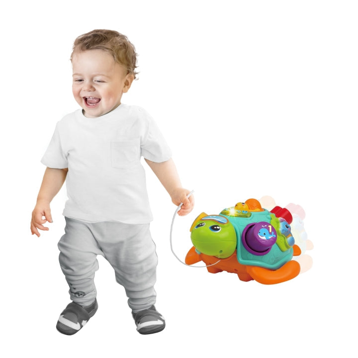 Pull Along Sort 'N Learn Turtle - Medaid International