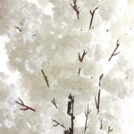 2 M, Artificial White Cherry Blossom Tree for Home Décor, Wedding Event, Party, Restaurant, Indoor, Outdoor - Medaid International