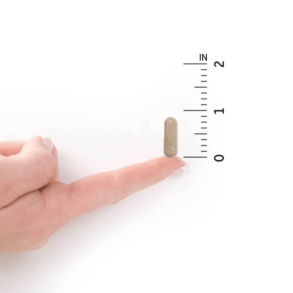 Garden of Life Vitamin Code Raw Vitamin C - 120 Capsules, 500mg Whole Food Vitamin C Capsules + Fruit & Veggie Blend & Probiotics, Supplements for Adults, Vegan, Gluten Free - Medaid International