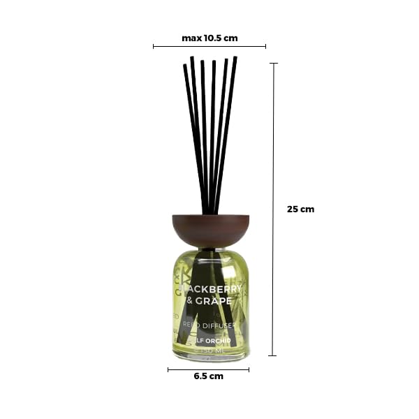 Gulf Orchid Reed Diffuser Blackberry & Grape Aromatherapy Reed Diffuser Air Freshener Fragrance for Home & Office 150ml, 217042 - Medaid International