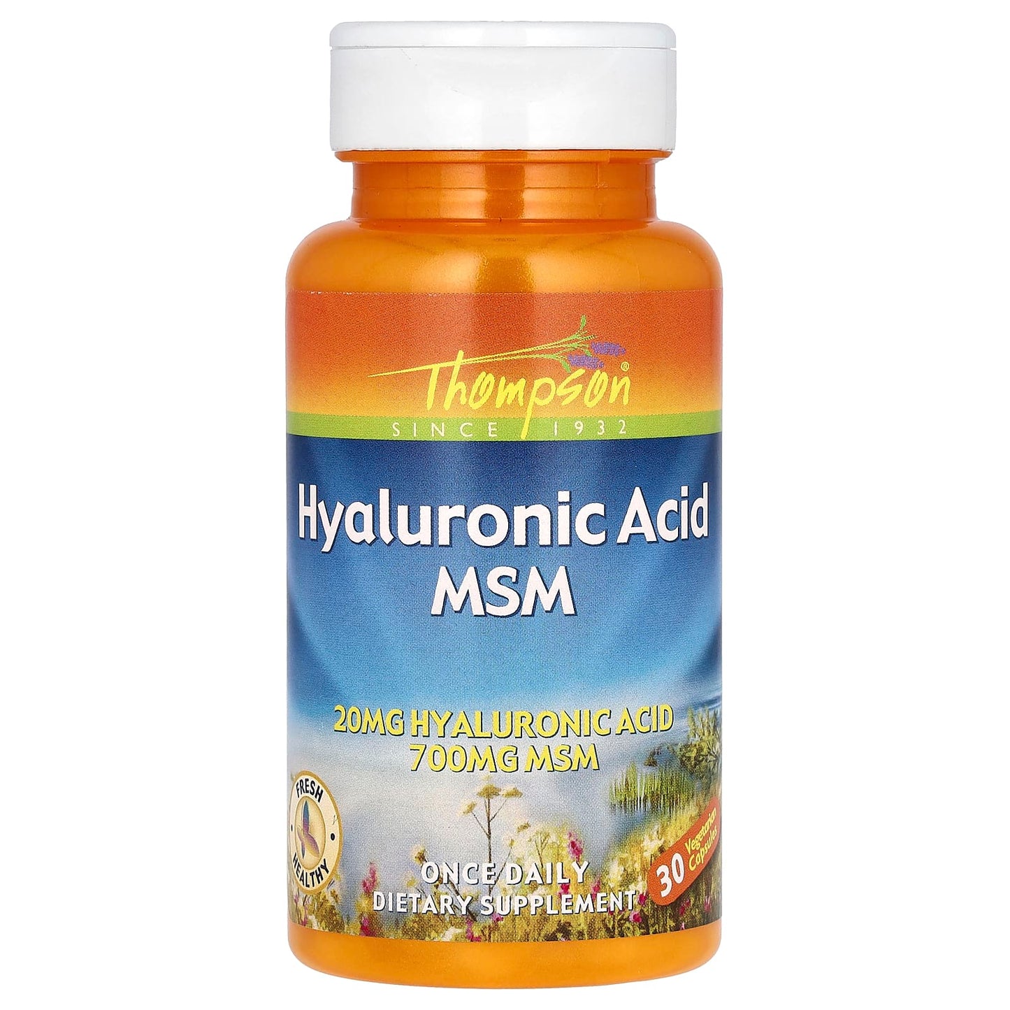 Thompson, Hyaluronic Acid MSM, 30 Vegetarian Capsules - Medaid International
