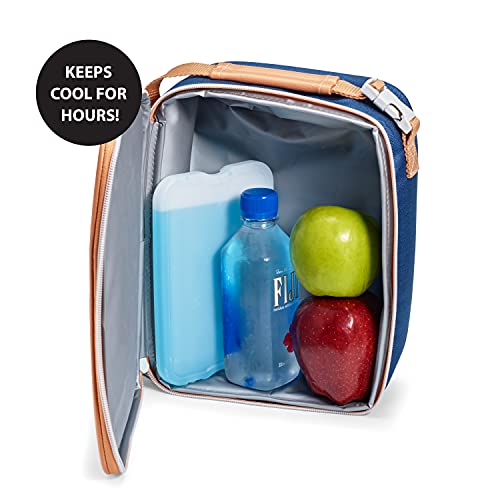 Cool Coolers by Fit & Fresh 4 Pack XL Slim Ice Packs, Quick Freeze Space Saving Reusable Ice Packs for Lunch Boxes or Coolers, Blue, 239ICE, 4 count (Pack of 1)|B07CTXRKH8
