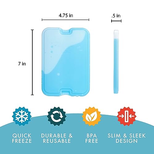 Cool Coolers by Fit & Fresh 4 Pack XL Slim Ice Packs, Quick Freeze Space Saving Reusable Ice Packs for Lunch Boxes or Coolers, Blue, 239ICE, 4 count (Pack of 1)|B07CTXRKH8