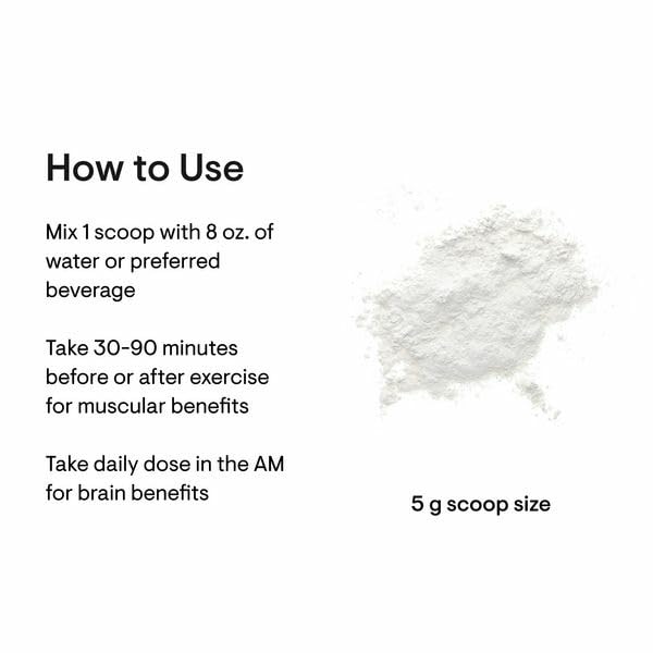 THORNE Creatine - Micronized Creatine Monohydrate Powder - Support for Muscles & Cognitive Function* - for Women & Men - Unflavored - NSF Certified for Sport - 5 g per Serving - 180 Servings - Medaid International