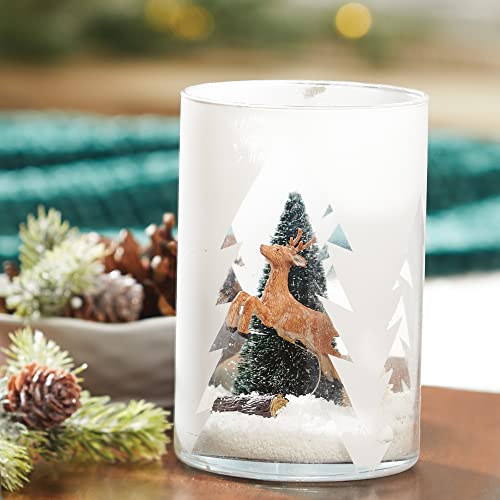 Yankee Candle Balsam & Cedar Scented, Classic Large 22oz Dual-Wick Tumbler Candle, Over 75 Hours Burn Time, Ideal for Holiday Season & Gifting - Medaid International