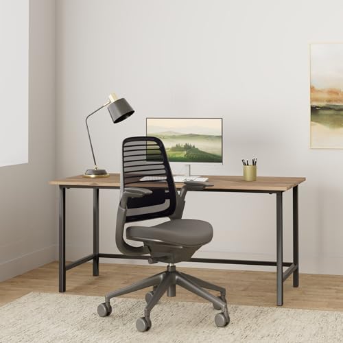 Steelcase Series 1 Office Chair - Ergonomic Work Chair with Wheels for Carpet - Helps Support Productivity - Weight-Activated Controls, Back Supports & Arm Support - Easy Assembly - Graphite|B078HFDMKD