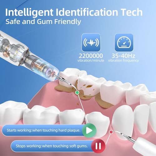 Ausha - Ultrasonic Electric Teeth Cleaner, 5 Modes, Rechargeable Plaque Remover