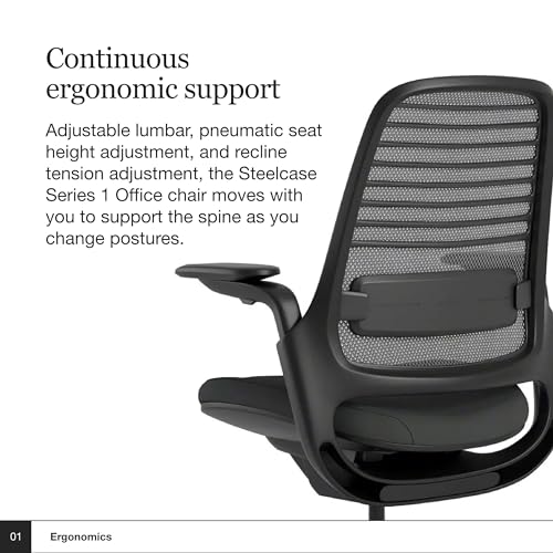 Steelcase Series 1 Office Chair - Ergonomic Work Chair with Wheels for Carpet - Helps Support Productivity - Weight-Activated Controls, Back Supports & Arm Support - Easy Assembly - Graphite|B078HFDMKD
