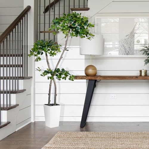 5ft Tall Artificial Black Olive Tree with 959 Lifelike Leaves, Fake Plant in White Tall Planters, Faux Olive Tree with 2 Poles for Living Room Office Garden Decor - Medaid International