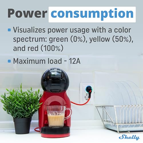 Shelly - Smart Programmable Socket with Alexa & Google Home Integration