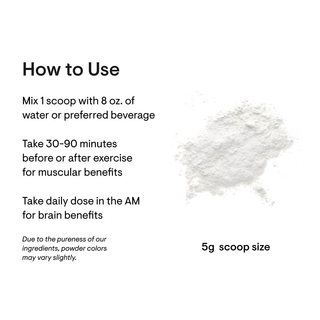 THORNE Creatine - Micronized Creatine Monohydrate Powder - Support for Muscles & Cognitive Function* - for Women & Men - Unflavored - NSF Certified for Sport - 5 g per Serving - 90 Servings - Medaid International