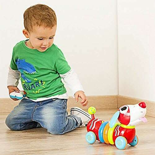 Remote Control Rainbow Puppy - Medaid International