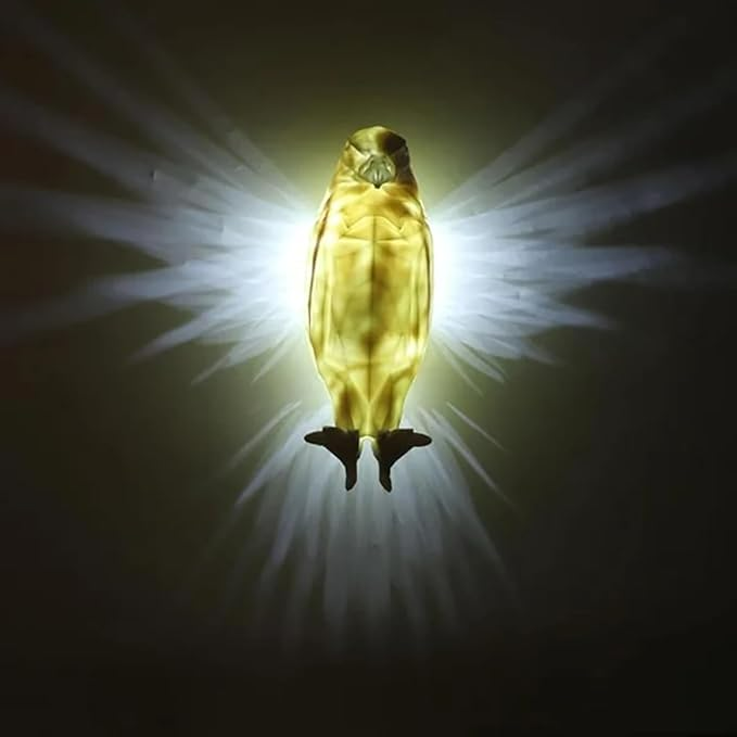 Eagle 3D Wall Lamp - Medaid International