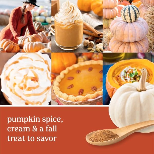 Yankee Candle Scent Plug Refill, Spiced Pumpkin (Pack of 2) - Medaid International