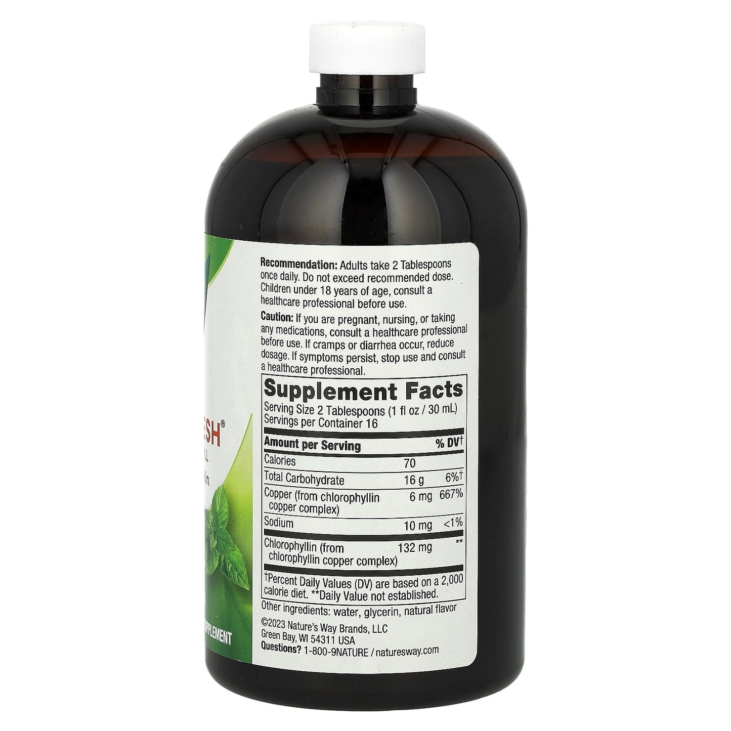 Nature's Way, Chlorofresh, Liquid Chlorophyll, Mint, 132 mg, 16 fl oz (480 ml) (132 mg per 2 Tbsp) - Medaid International