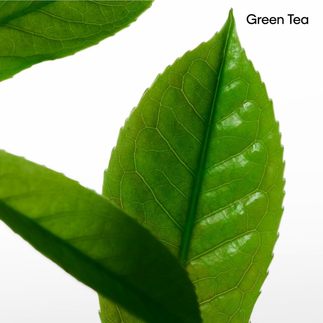 Calvin Klein CK One Deodorant Stick – With Notes of Green Tea, Bergamot, Cardamom, Violet & Amber – 2.6oz - Medaid International