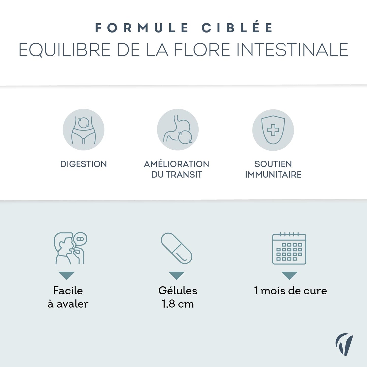 Probiotique Flore Intestinale - 7 souches dont Lactobacillus & Bifidobacterium - 28 Milliards d'UFC/jour - Transit & Microbiote Intestinal - 60 Gélules Végétales – Fabriqué en France - Vitavea - Medaid International