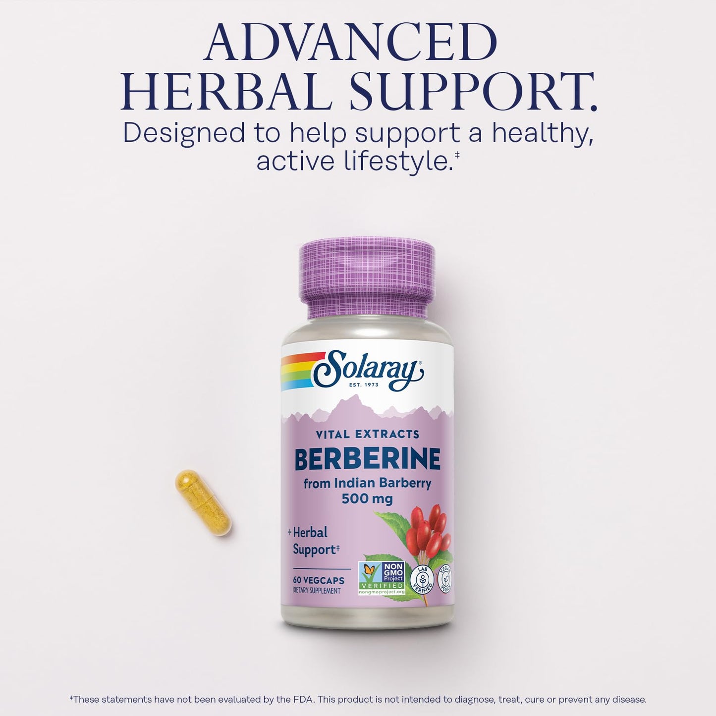 SOLARAY Berberine 500mg - Berberine Supplement for a Healthy, Active Lifestyle - with Berberine HCl from Indian Barberry - Vegan, Non-GMO, 60-Day Guarantee, Lab Verified - 60 Servings, 60 VegCaps - Medaid International