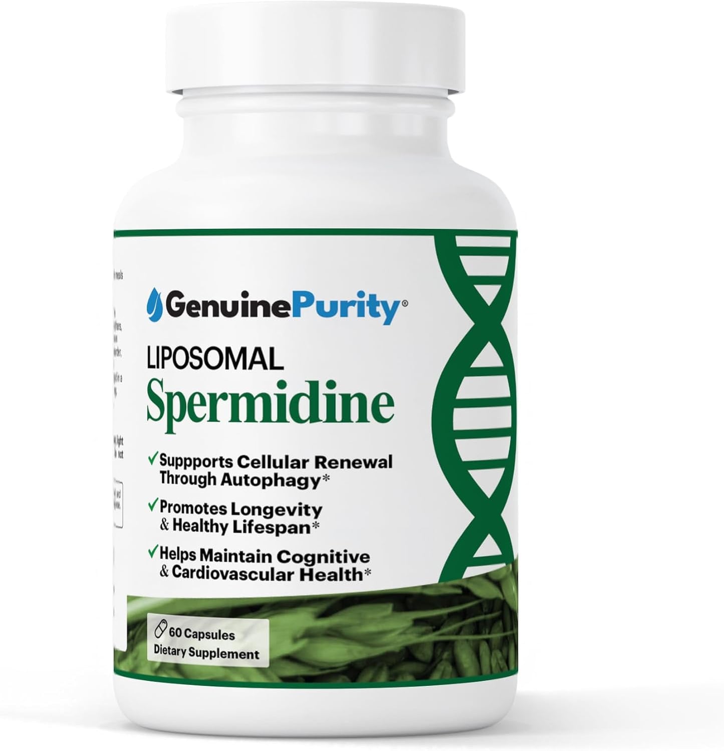 Liposomal Spermidine 8mg | Spermidine-Rich Wheat Germ Extract | for Women & Men to Promote Cellular Renewal for Healthy Aging | Gluten Free, Vegan, USA Made, Non-GMO | 60 Capsules