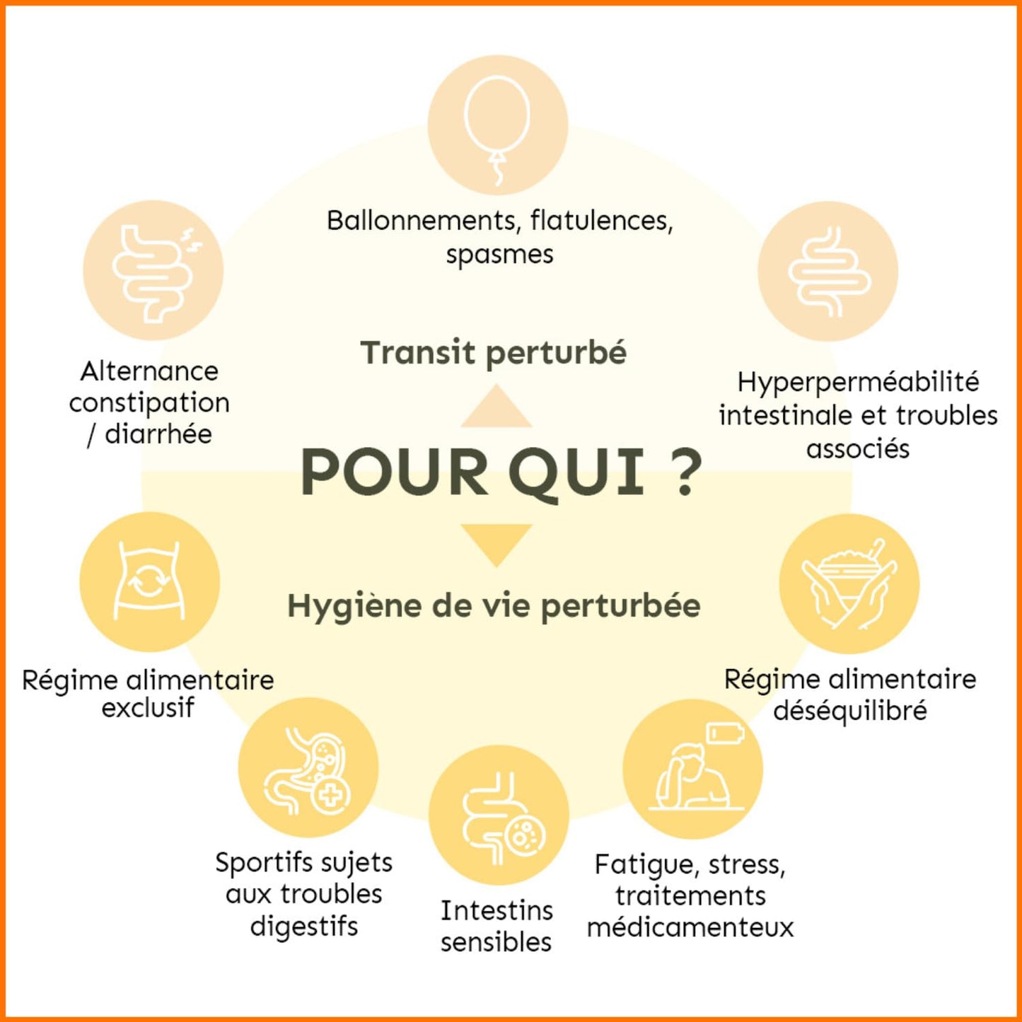 Permea Flore | PROBIOTIQUES + GLUTAMINE | Flore Intestinale et Cicatrisation de la Muqueuse | Idéal Contre la Perméabilité Intestinale | 60 Gélules Gastro-résistantes | Made in France | Terravita - Medaid International