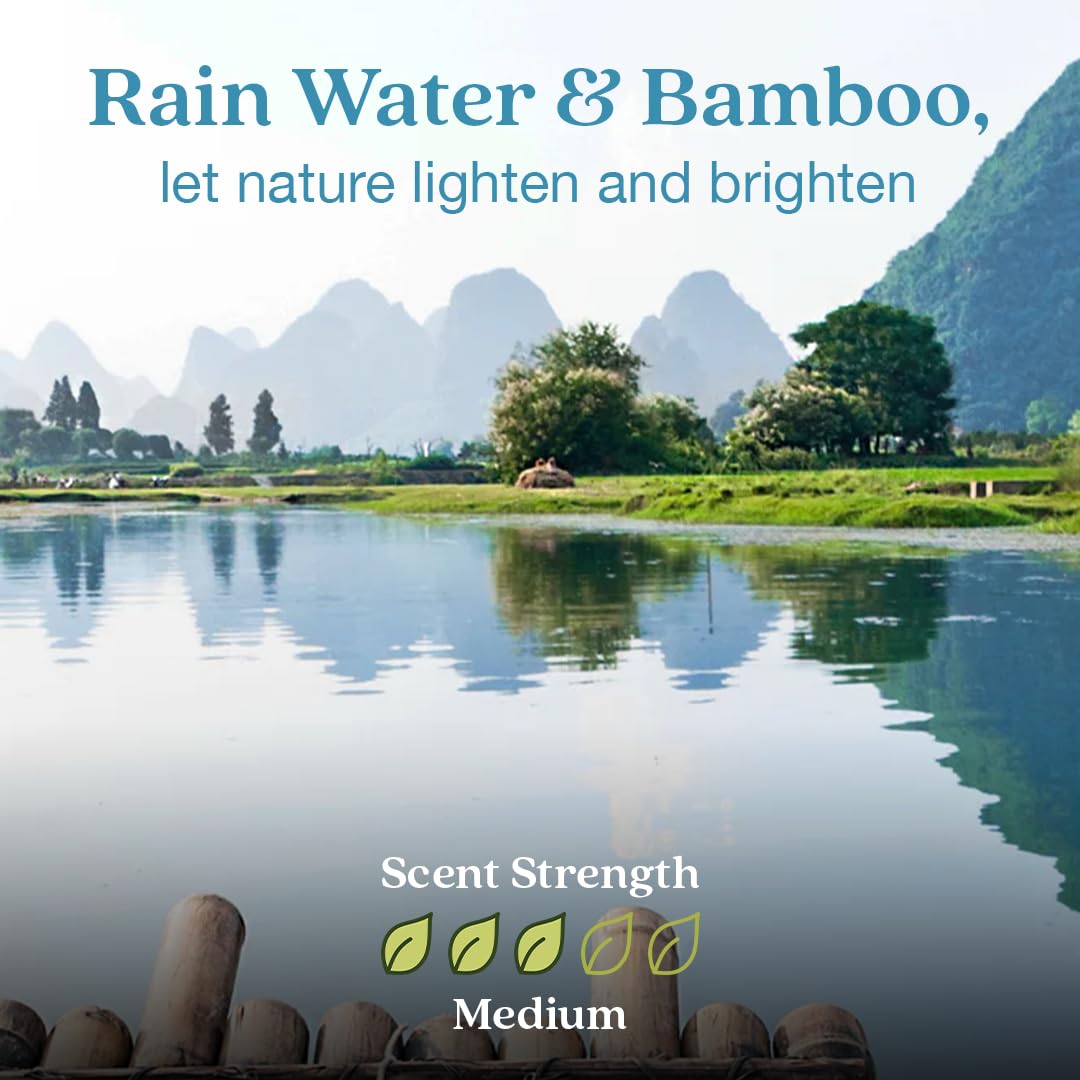 Enviroscent Non Toxic Air Freshener Plug-in Home Fragrance Last 45+ Days | Kit includes 1 Refillable Plug In Warmer & 1 Scent Refill (Rainwater & Bamboo) - Medaid International