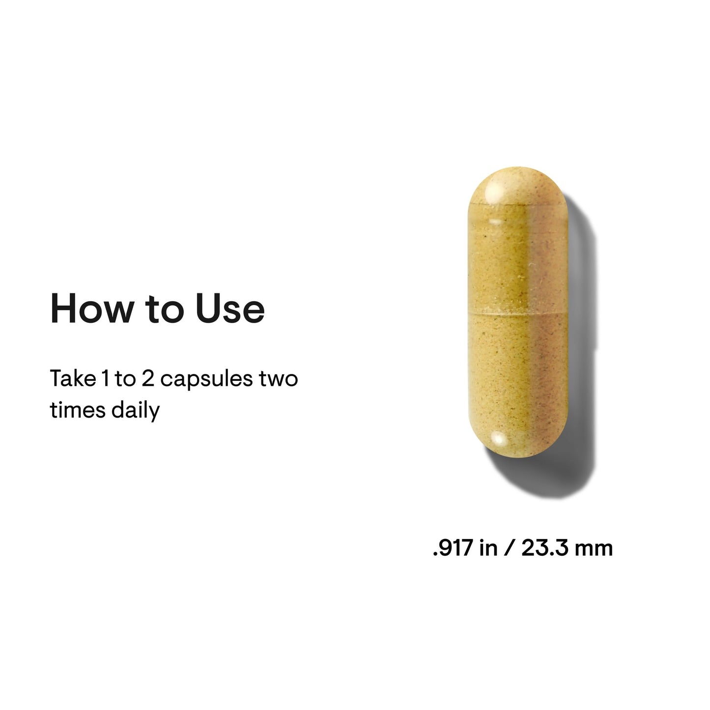 THORNE - Berberine - Dual Action Formula with Phytosome Plus Botanical Extract - Support Heart Health, Immune System, Healthy GI, Cholesterol* - Gluten-Free, Dairy-Free - 60 Capsules - 30 Servings - Medaid International