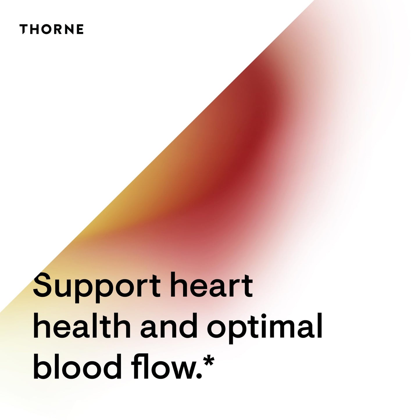 THORNE - L-Arginine Sustained Release (Formerly Perfusia-SR) - Support Heart Function, Nitric Oxide Production, and Optimal Blood Flow* - 120 Capsules - 60 Servings - Medaid International