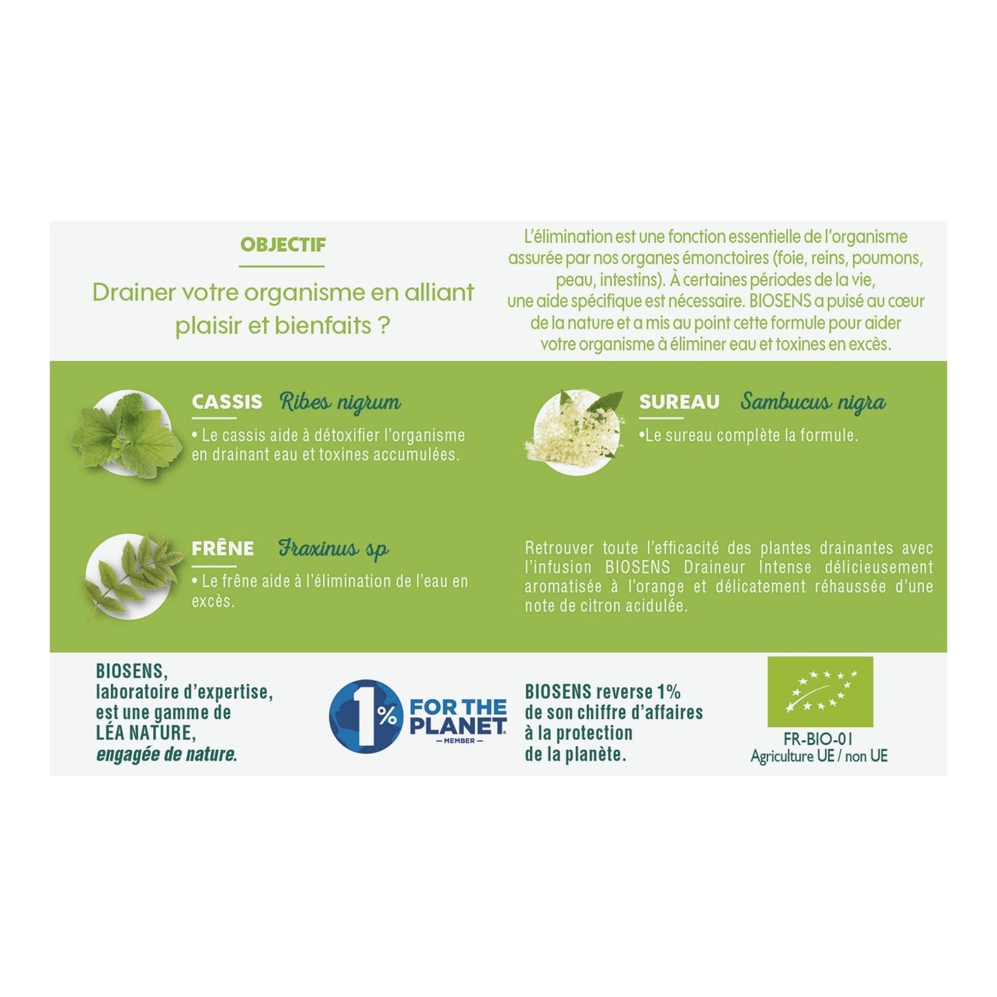 Biosens - Infusion Draineur intense - Cassis, Frêne et Sureau - Certifié Bio AB - Fabriqué en France - 20 sachets - Medaid International