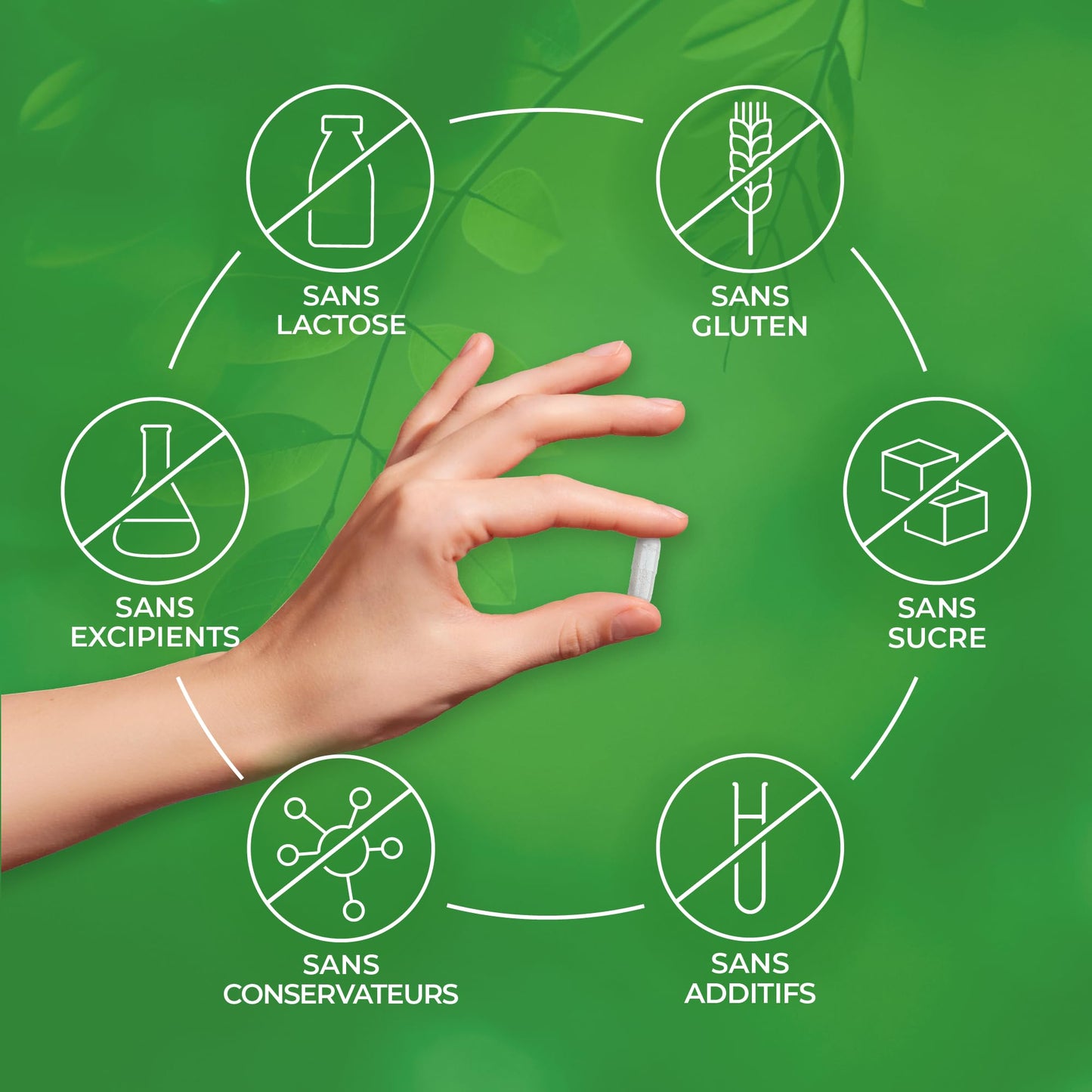 Biophénix Hépatic biologique 90 gélules - Complément alimentaire BIO 100% naturel à base de végétaux - Favorise les fonctions du foie - Medaid International
