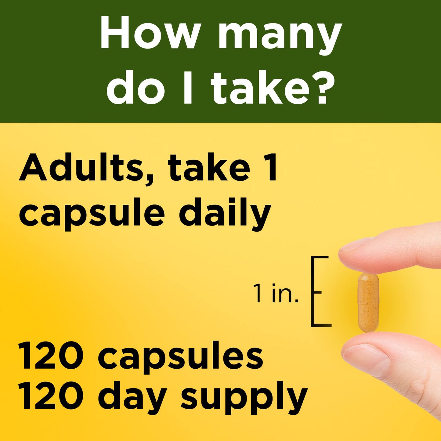 Nature Made Turmeric Curcumin 500 mg, Herbal Supplement for Antioxidant Support, 120 Capsules, 120 Day Supply - Medaid International