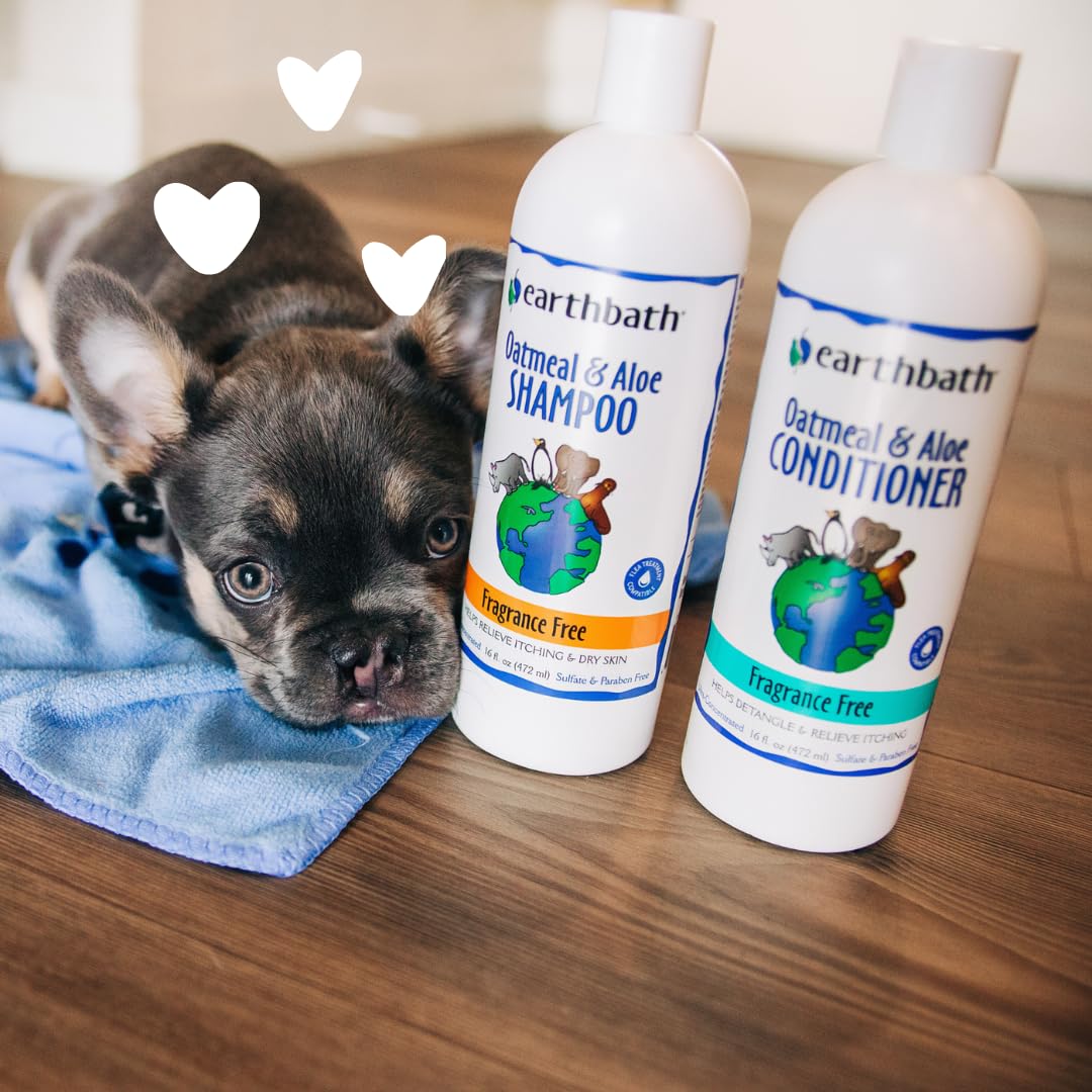 earthbath Oatmeal & Aloe Dog Conditioner- Helps Allergies, Itching, & Dry Skin, Cruelty-Free Pet Conditioners, Fragrance-Free Dog Wash- 16 oz (1 Pack) - Medaid International