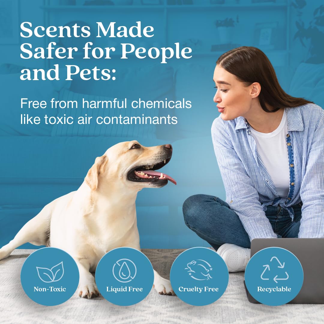 Enviroscent Non Toxic Air Freshener Plug-in Home Fragrance Last 45+ Days | Kit includes 1 Refillable Plug In Warmer & 1 Scent Refill (Rainwater & Bamboo) - Medaid International