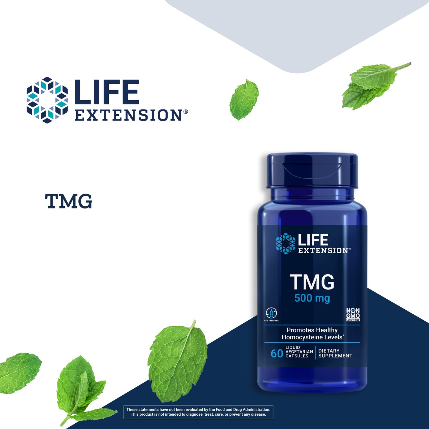 Life Extension TMG, trimethylglycine, Encourages Healthy homocysteine Levels, Non-GMO, Gluten-Free, Vegetarian, 60 Capsules - Medaid International