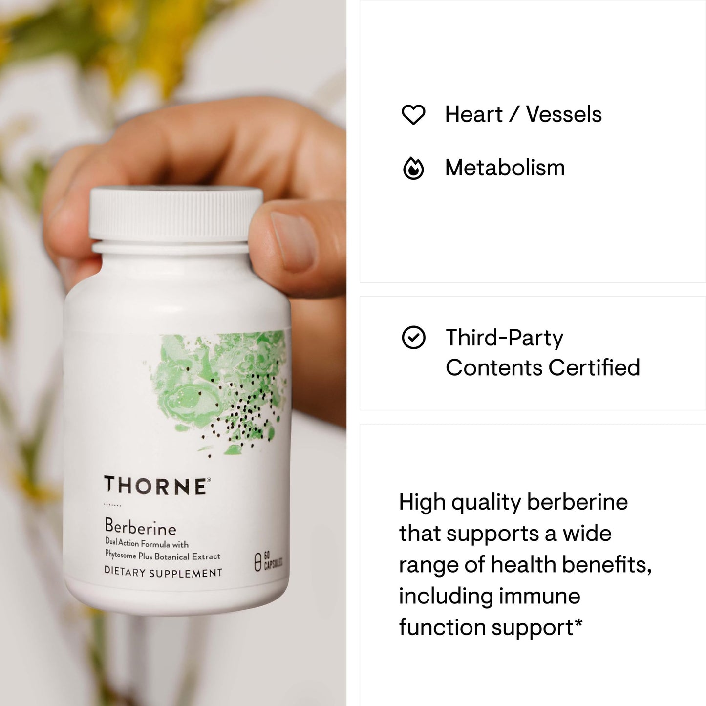 THORNE - Berberine - Dual Action Formula with Phytosome Plus Botanical Extract - Support Heart Health, Immune System, Healthy GI, Cholesterol* - Gluten-Free, Dairy-Free - 60 Capsules - 30 Servings - Medaid International