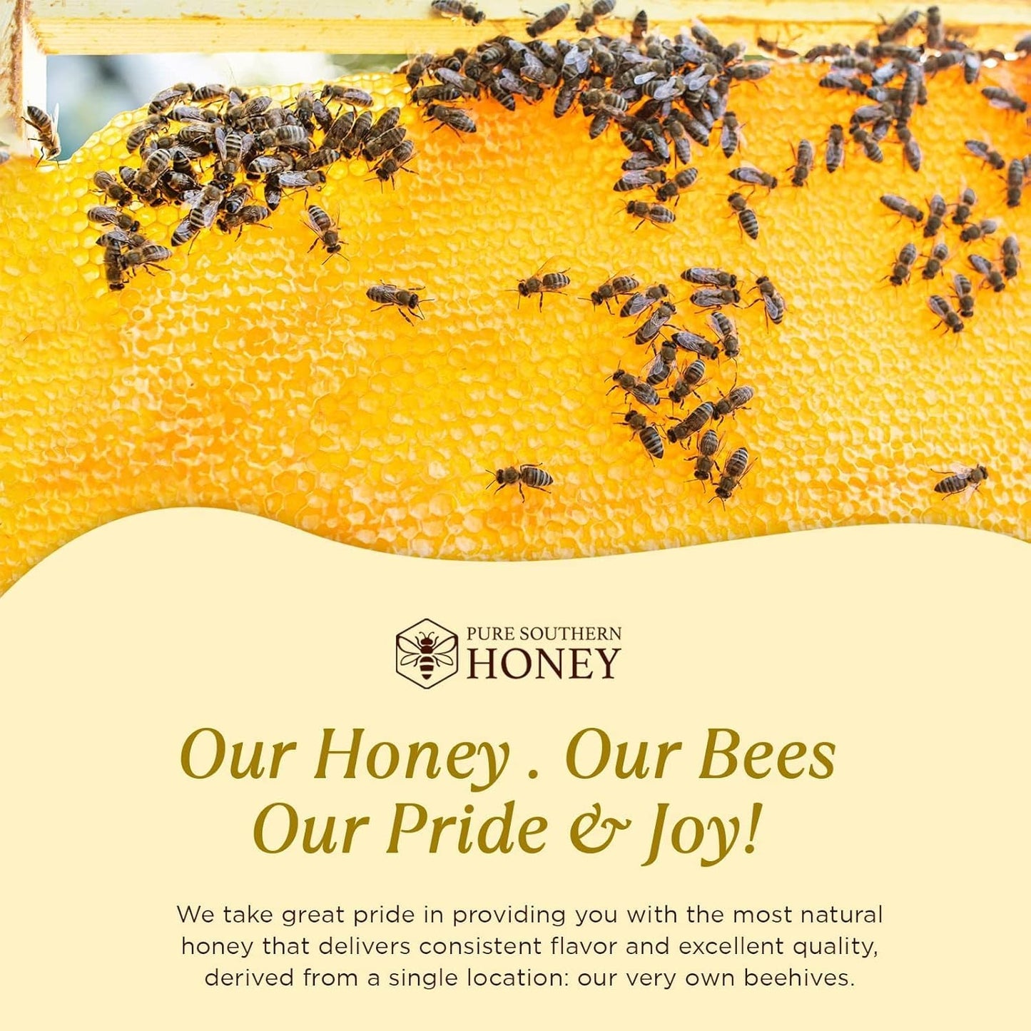 100% Raw & Unfiltered Wildflower Honey - American Made by Pure Southern Honey (48 Ounce) - Medaid International