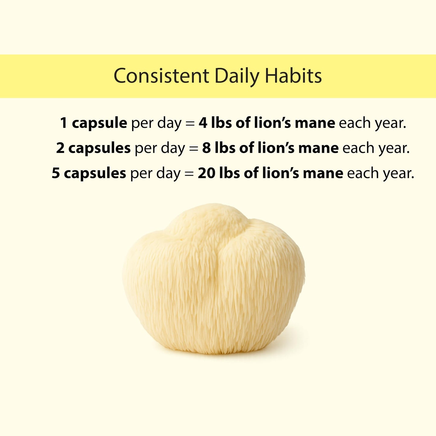 KOYAH Organic Lion's Mane Capsules - USA Grown, 100% Fruiting Body, Freeze-Dried, 3rd Party Tested for Beta-Glucans, 500 mg, Non-GMO, Vegan. Brain & Nerve Support. Immune Support. 60 Capsules - Medaid International