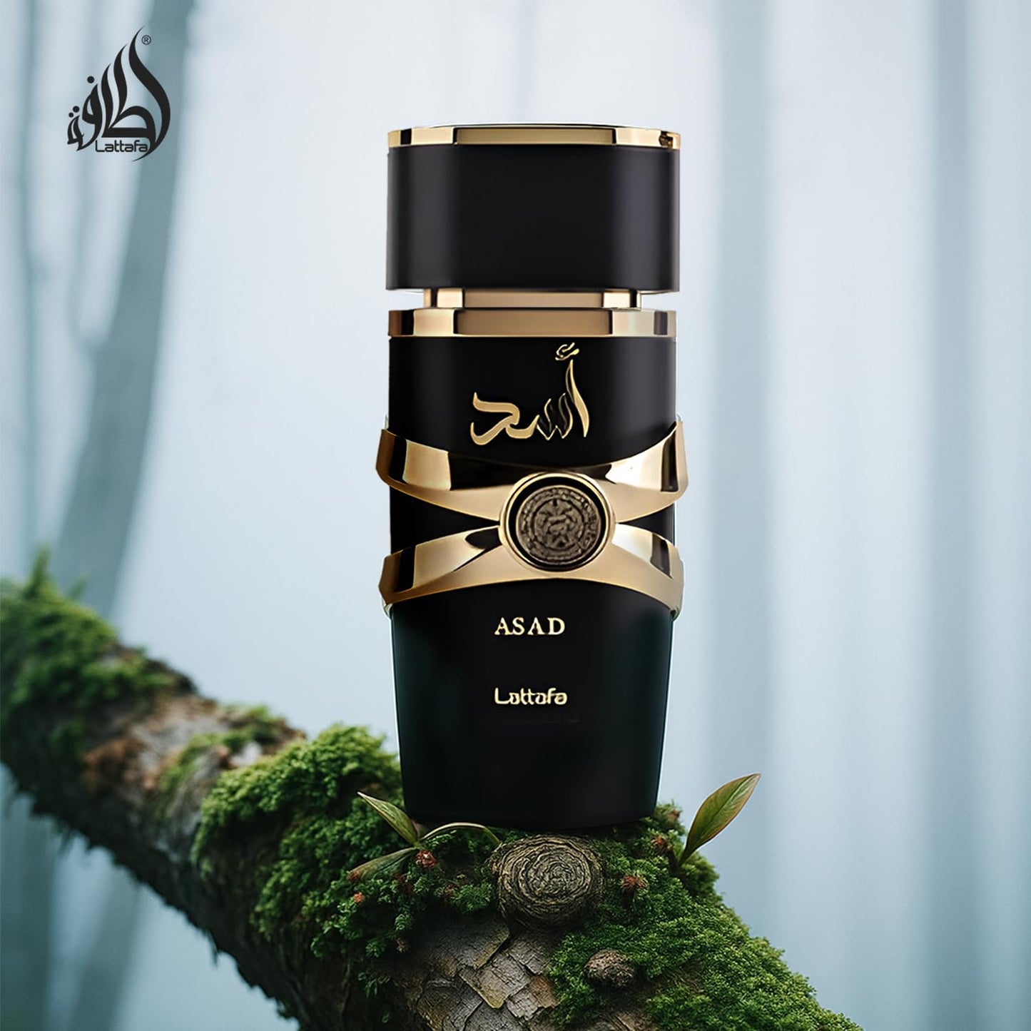 Lattafa Imported Long Lasting Luxury Perfume Spray Asad Premium Refreshing Oud and Musk Fragrances Eau De Parfum 100 ml Perfume for Unisex - Medaid International