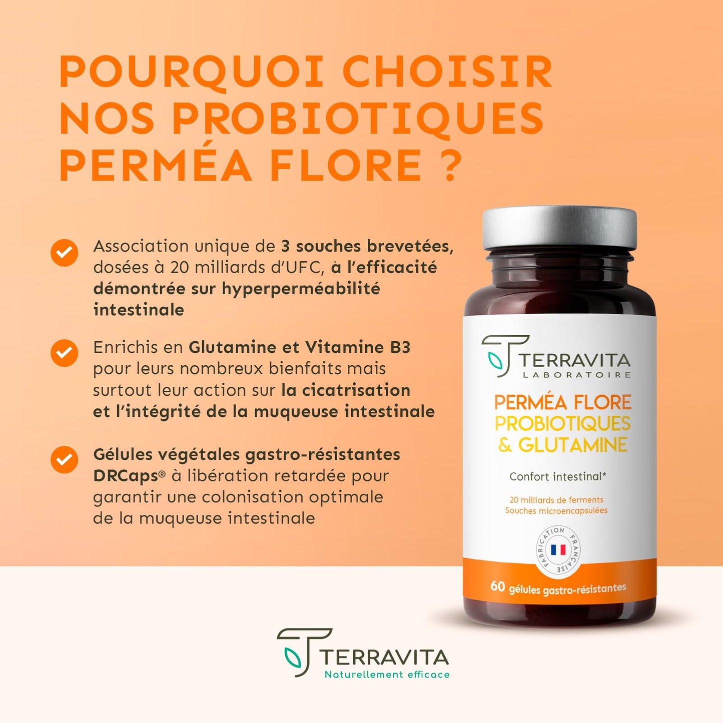 Permea Flore | PROBIOTIQUES + GLUTAMINE | Flore Intestinale et Cicatrisation de la Muqueuse | Idéal Contre la Perméabilité Intestinale | 60 Gélules Gastro-résistantes | Made in France | Terravita - Medaid International