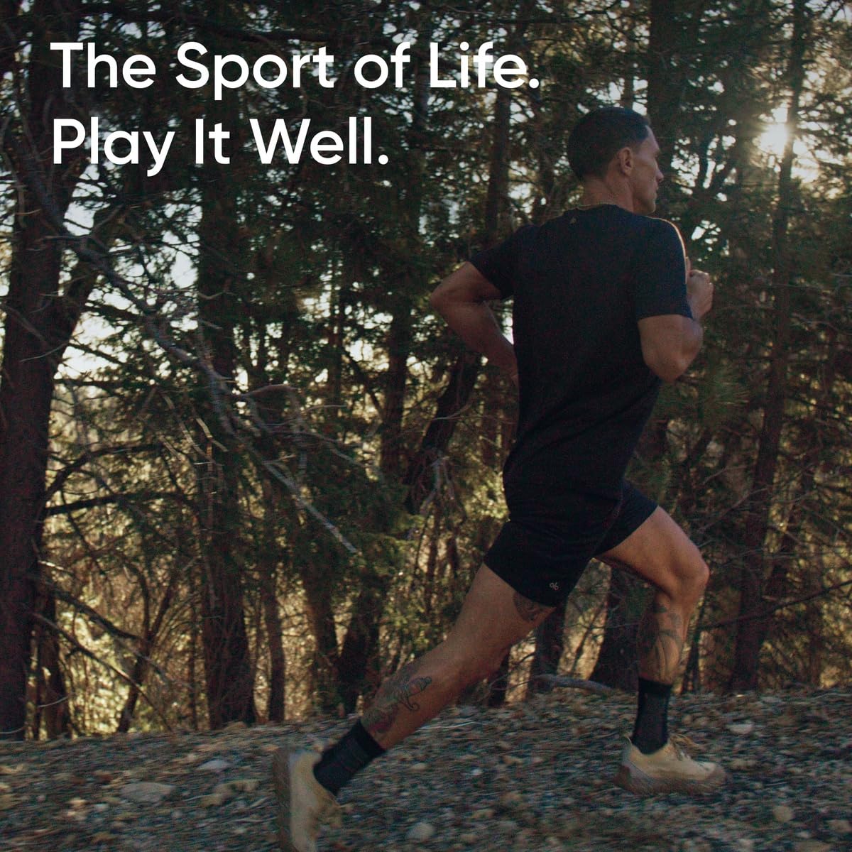 Sports Research Organic MCT Oil - Keto & Vegan MCTs C8, C10, C12 from Coconuts - Fatty Acid Brain & Body Fuel, Non-GMO & Gluten Free - Flavorless Oil, Perfect in Coffee, Tea & Protein Shakes - 32 oz - Medaid International