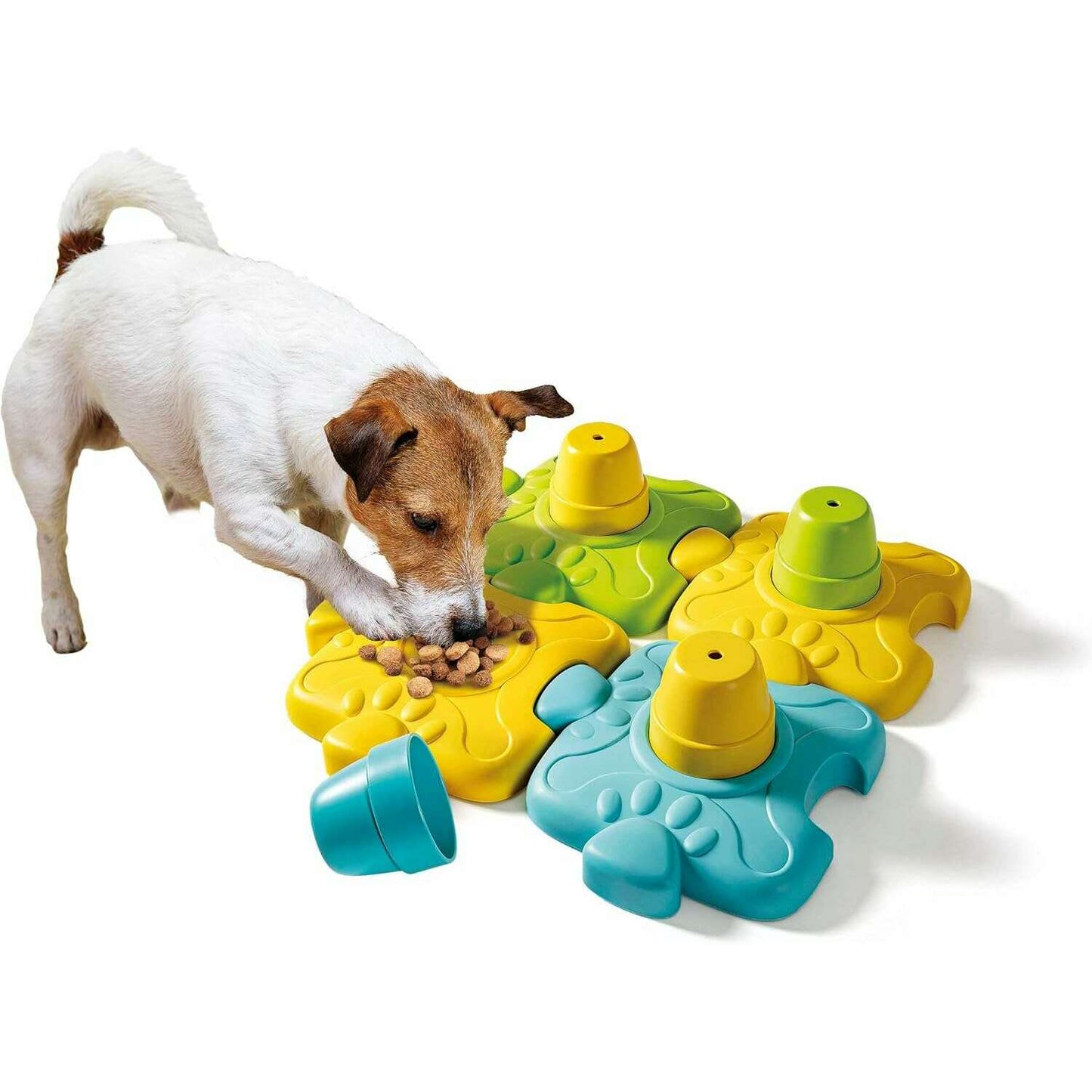 Pet Lab - EN - Medaid International