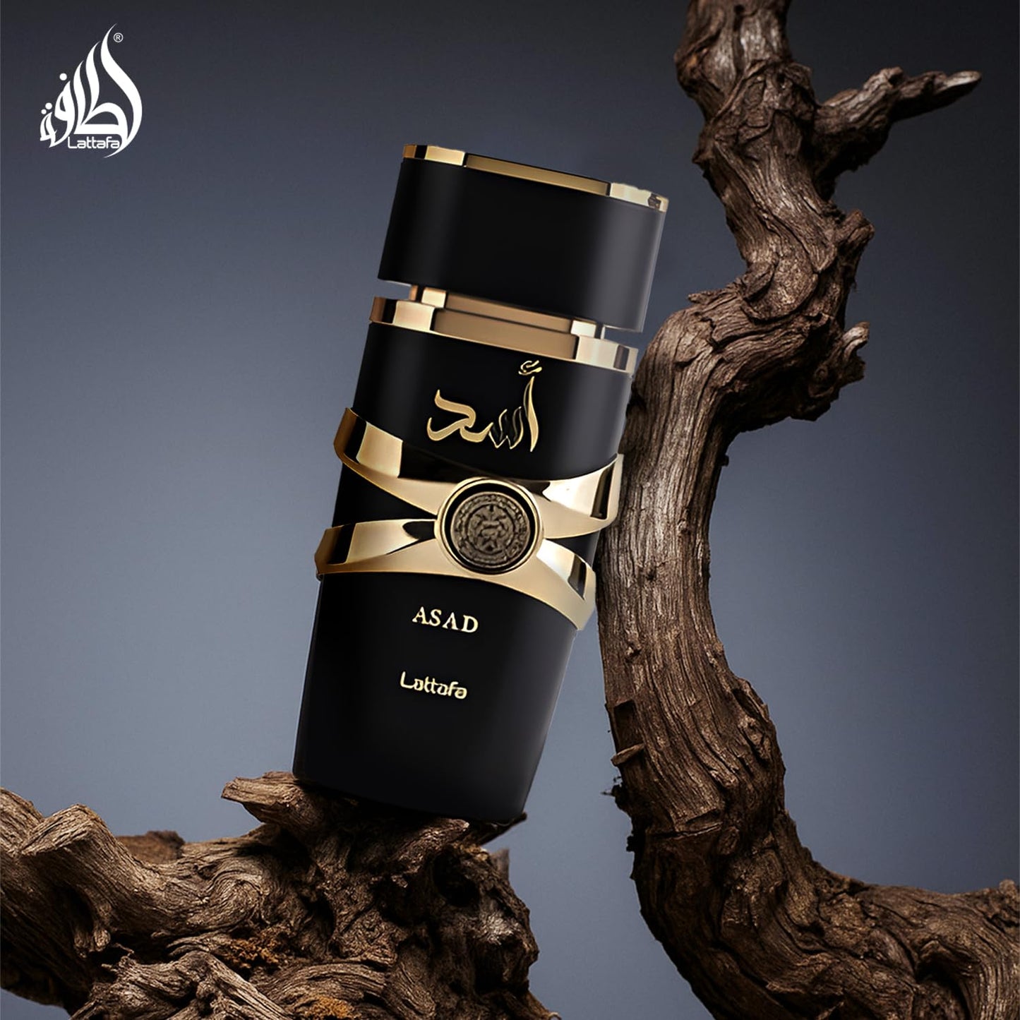 Lattafa Imported Long Lasting Luxury Perfume Spray Asad Premium Refreshing Oud and Musk Fragrances Eau De Parfum 100 ml Perfume for Unisex - Medaid International