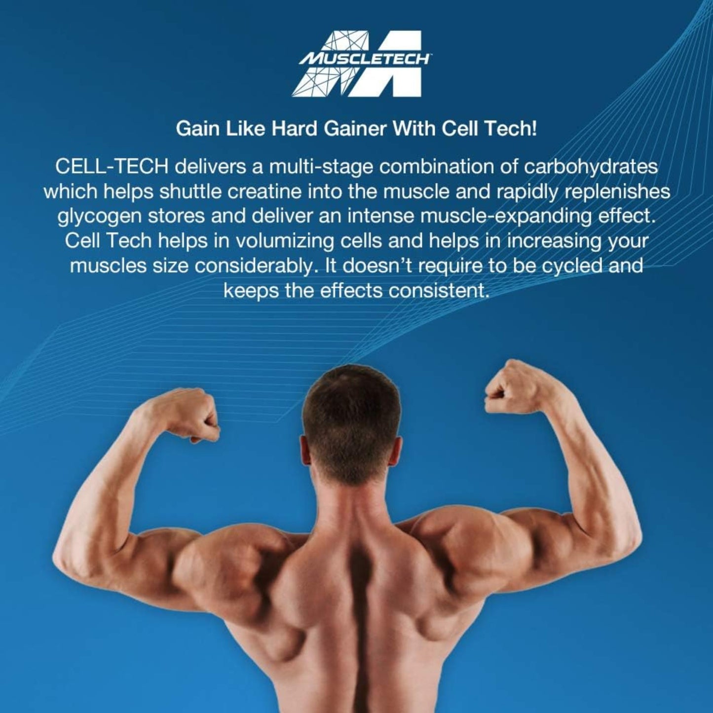 MuscleTech Cell-Tech Creactor - Creatine HCl Formula - Muscle Builder for Men & Women - Creatine HCl + Free-Acid Creatine Supplements - Fruit Punch Extreme, 120 Servings - Medaid International