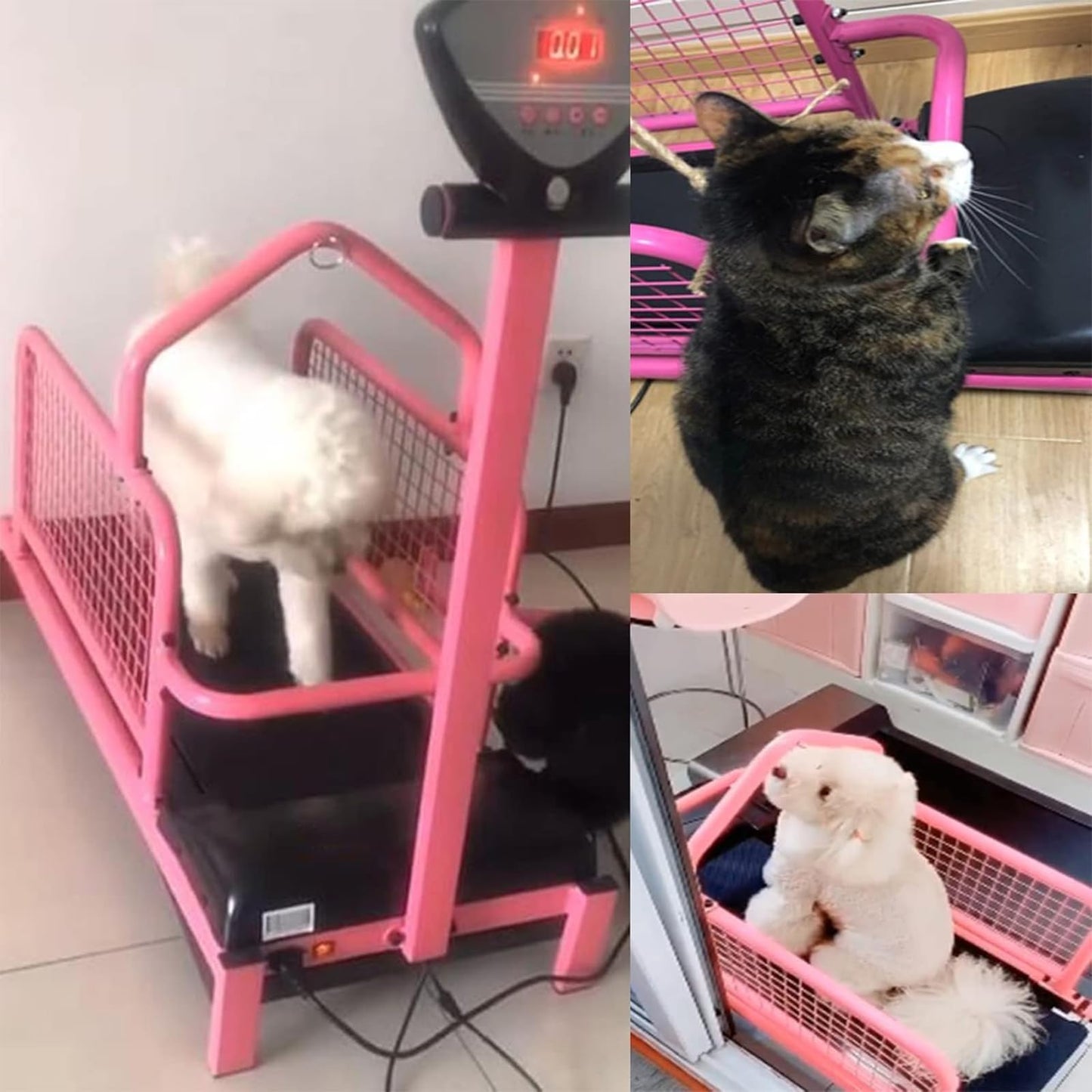Dog Treadmill for Large Dogs, Pet Running Machine with LED Display Screen, 1-6 Km/h Speed Adjustable and 80kg Load-Bearing Capacity, Multiple Modes Display and Easy To Assemble, for Home, Garage - Medaid International