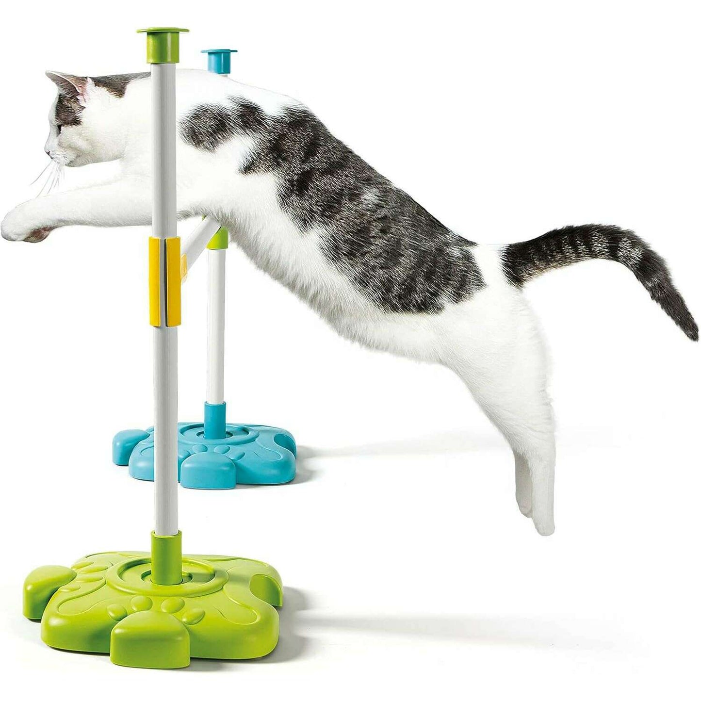 Pet Lab - EN - Medaid International